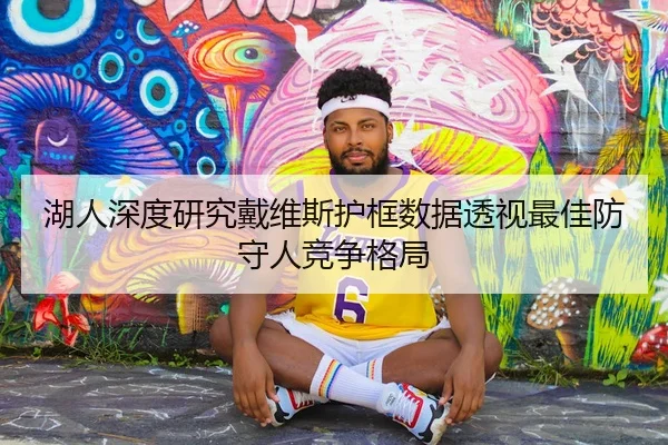 湖人深度研究戴维斯护框数据透视最佳防守人竞争格局